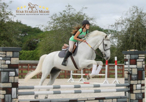 Visit Star Stables Miami