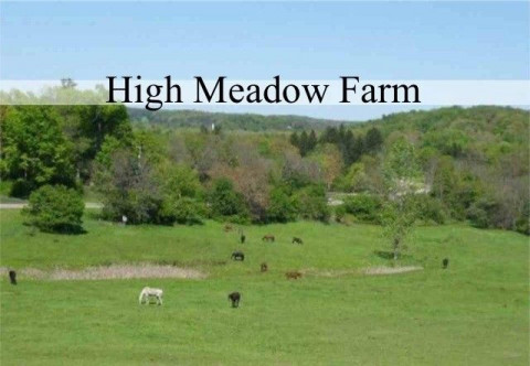 Visit High Meadow Farm