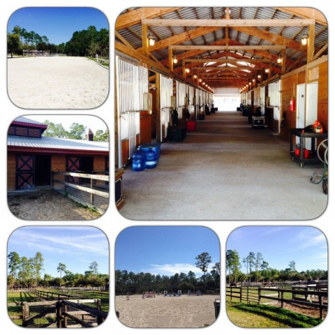 Visit Nicole Olsen Equestrian