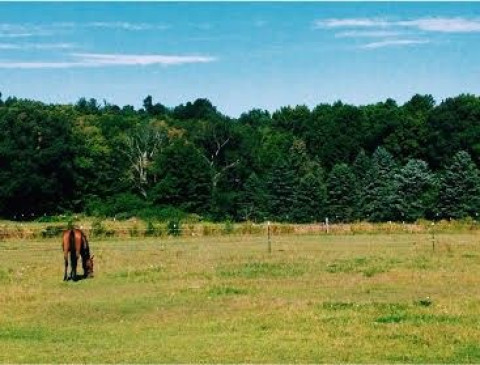Visit Clover Hill Equestrian Center
