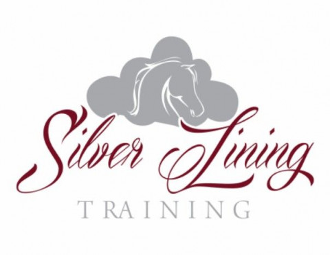 Visit Silver Lining Training