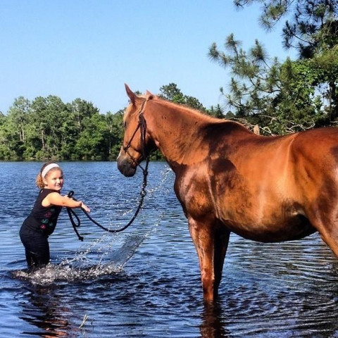 Visit Salto de Fe: Equine Therapeutics