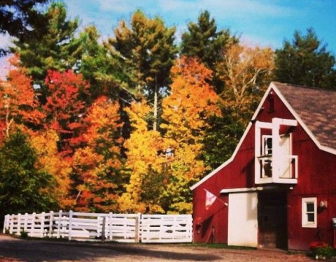 Horseback Riding In Wilton New Hampshire Hillsborough County