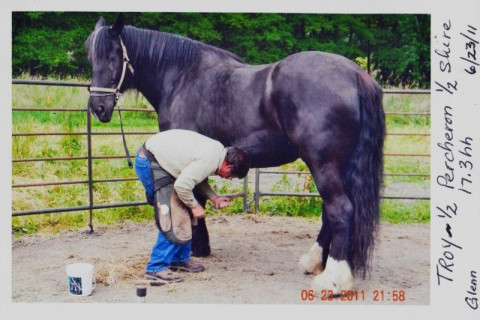 Visit Broken Bit Farm Professional Farrier Services