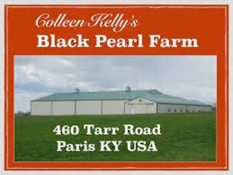 Visit Black Pearl Farm & Indoor Arena
