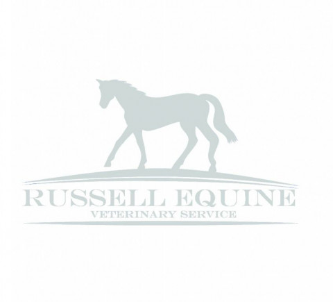 Visit Russell Equine Veterinary Service