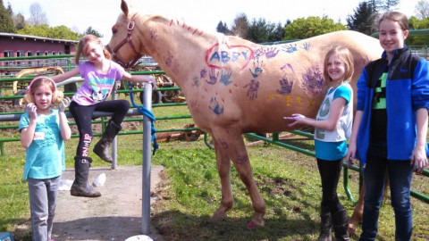 Visit Herrold Stables Horse Camp