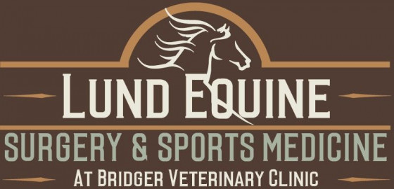 Visit Lund Equine Surgery & Sports Medicine