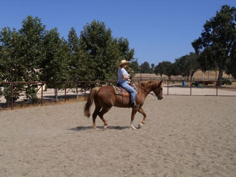 Visit Rancho Paraiso