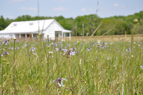 Visit Farmstead Franklin