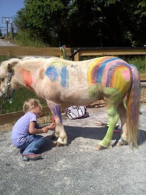 Visit Painted Key Horse Camp