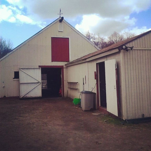 Visit Depot Stables