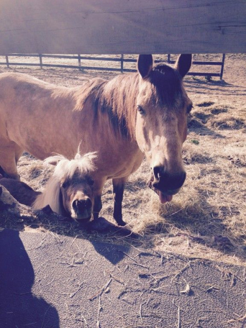 Visit Crooked Finger Farm