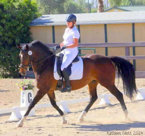 Visit Call Kathleen 951-288-0521 Western Dressage Horse Trainer & Riding Lessons