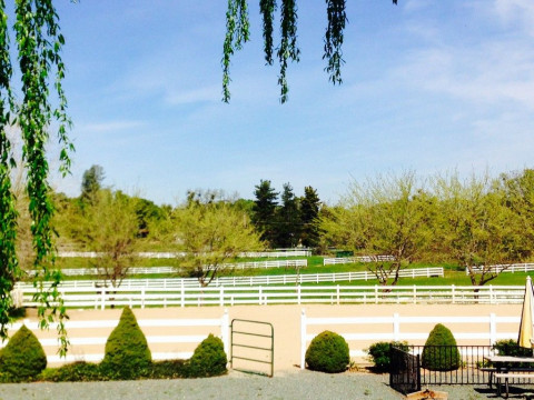 Visit Auburn Horse Boarding