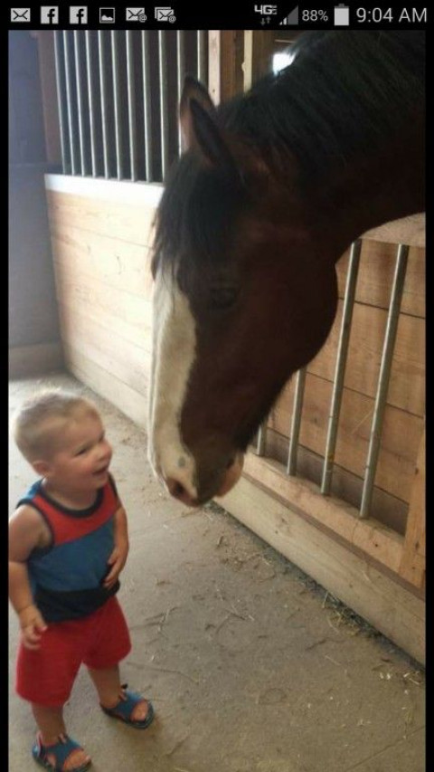 Visit LIBERTY EQUESTRIAN CENTER