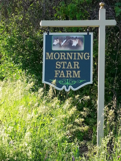 Visit Morning Star Farm Inc