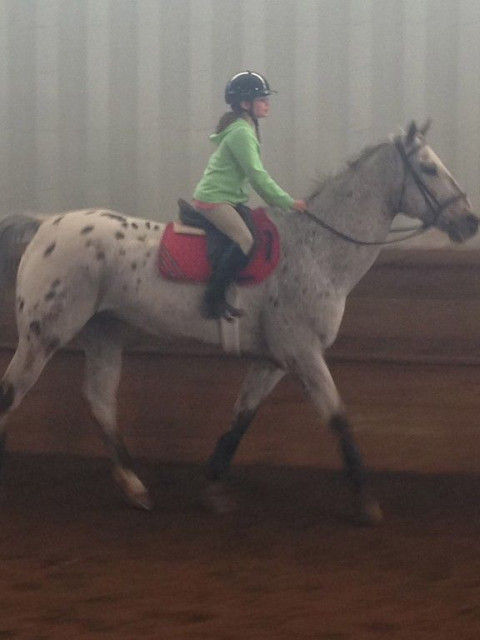 Visit SwanLea Equestrian