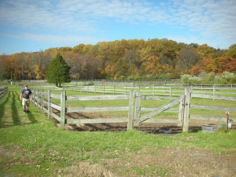 Visit Elmwood Horse Farm
