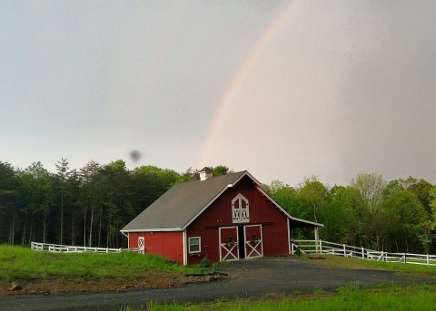 Visit White Oak Stables