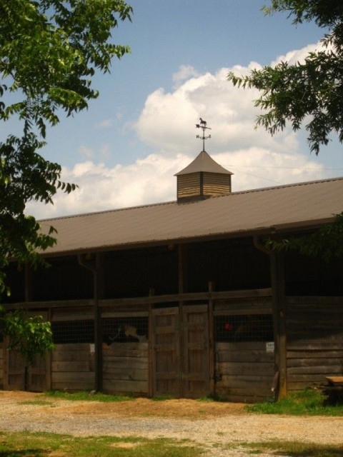 Visit Applewood Stables