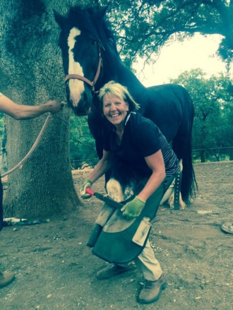 Visit Melinda Irhazy, M.I.-Shoer Farrier Service