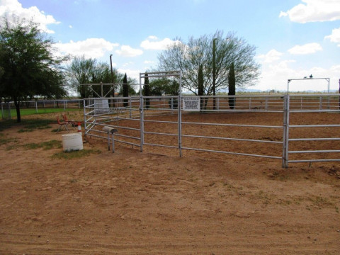 Visit Rice Quarter Horses