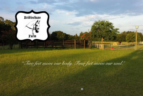 Visit Bridlechase Farm