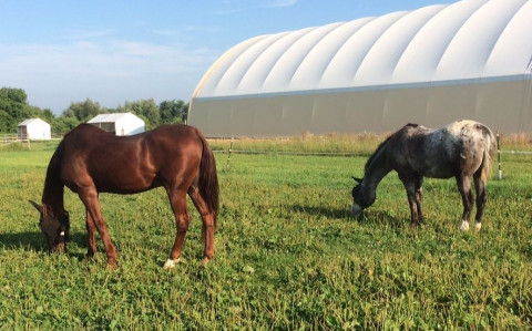 Visit On Eagles Wings Equine Center LLC