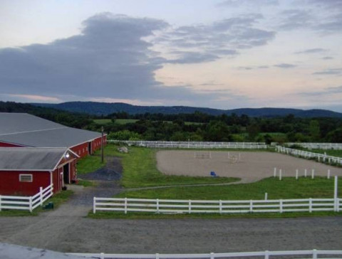 Visit Golden Gaits Farm