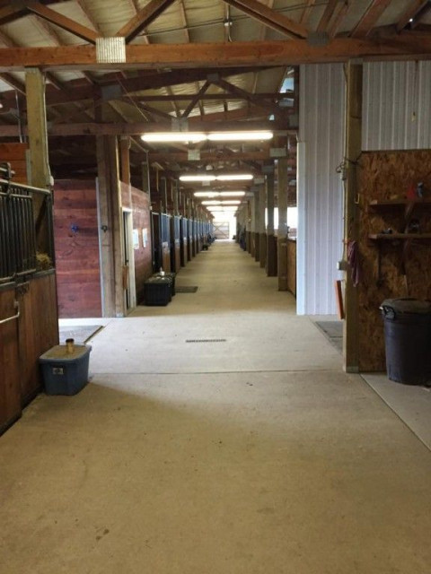 Visit La Pettiti Stables