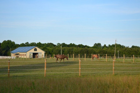 Visit Drinkwater Equestrian