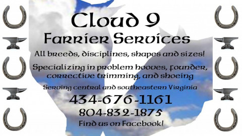 Visit Cloud 9 Farrier Services