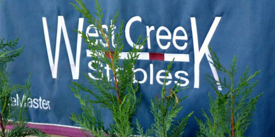 Visit West Creek Stables