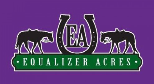 Visit Equalizer Acres