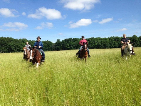Visit Karin's Horse Connection and Legacy Stables