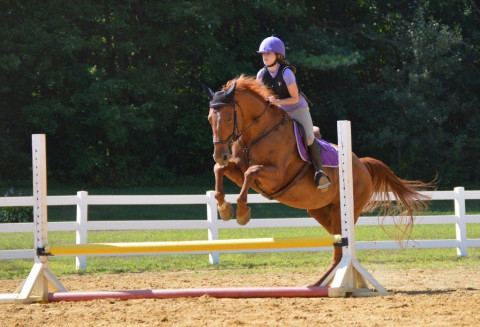 Visit Trinity Stable Day Camps