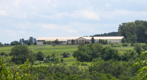 Visit Wentz Stables