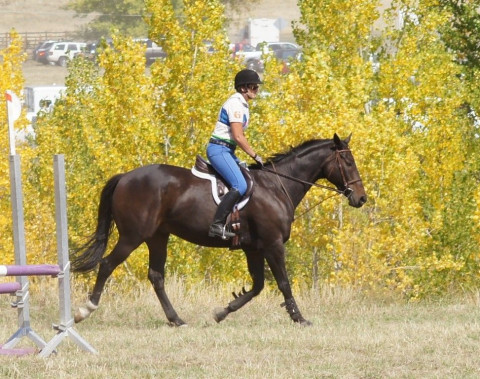 Visit Lynchland Stables - Jacqueline Lynch and Susan Herlihy