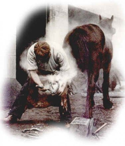 Visit Opus Equi Farrier Services, LLC