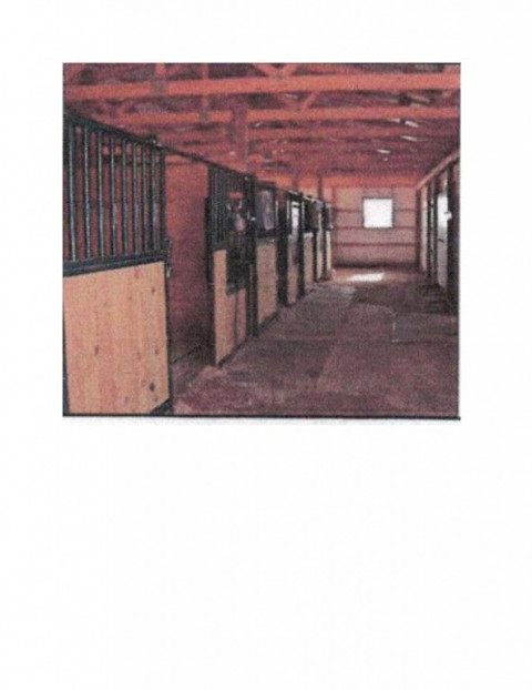 Visit County Line Stables