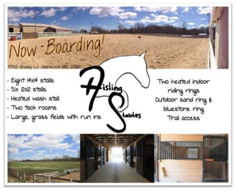 Visit Aisling Stables