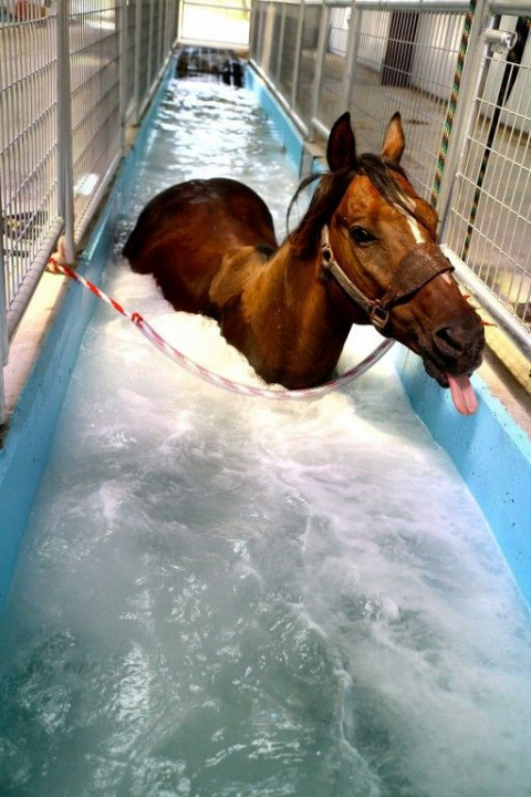 Visit EquiCare