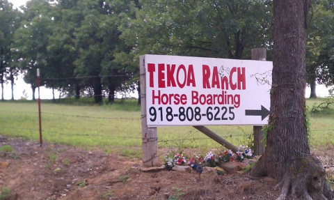 Visit TEKOA RANCH HORSE BOARDING LLC.