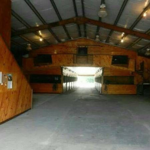Visit High Horse Stables