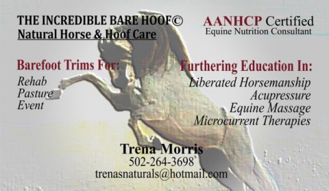 Visit Amber Morris