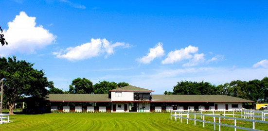 Visit Sport Horse Stables