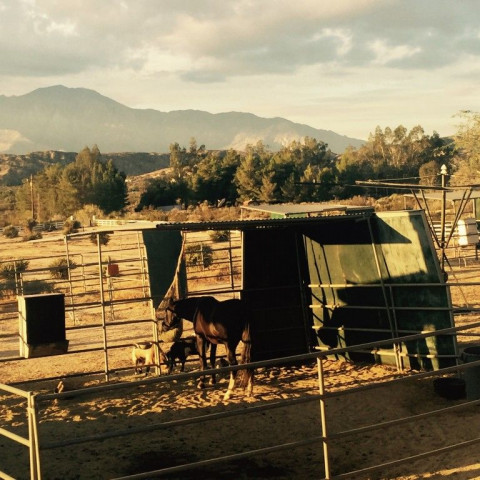 Visit The Ranch @ Indian Rock Reserve