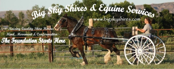 Visit Big Sky Shires & Equine Services