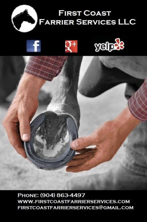 Visit First Coast Farrier Services
